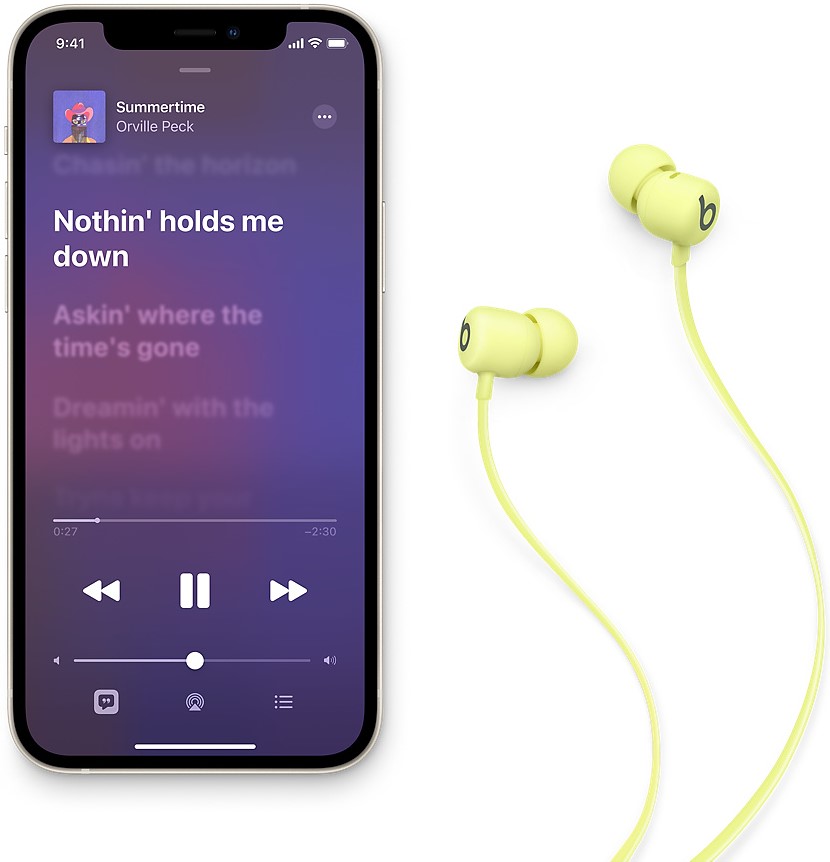 Apple - Beats Flex